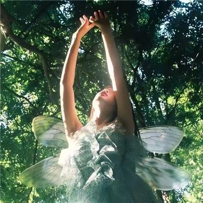 后宫神医太凶猛